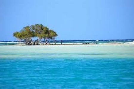 Sharm El Luli Tours and El Qulaan