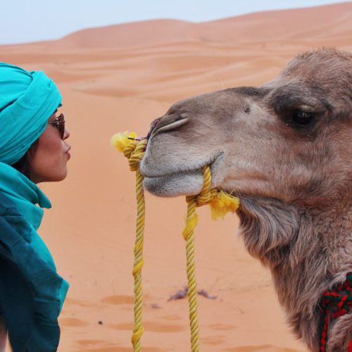 travel-discover-Morocco-bg
