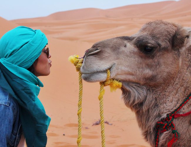 travel-discover-Morocco-bg